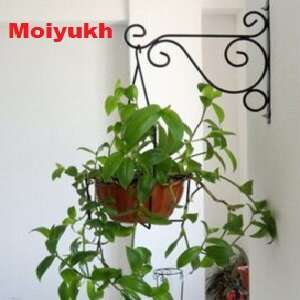 Metal wall pot plant holder