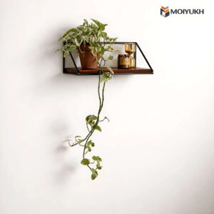 Small wall-mounted planter shelf with trailing indoor plant for modern home decor in Bangladesh