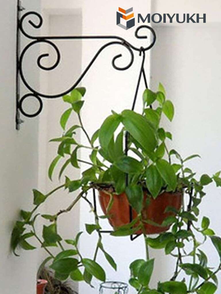 wall hanging planter